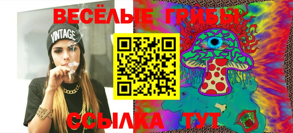Галлюциногенные грибы мухоморы  Псилоцибиновые грибы мицелий  Мичуринск  сколько стоит  Вход с VPN 